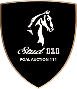 AS111 Foal Auctionlogo